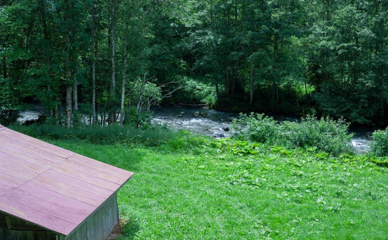 Grand Appartement Proche Gd Bornand Glieres-Val-de-Borne 外观 照片